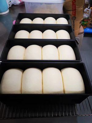 Yasur 40 khay Reach In Type Pizza Dough Proofer 40X60cm 2kw Air Wash Type Steamer Generator